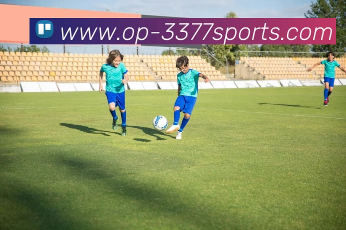 3377体育品牌故事